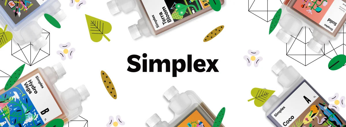 Simplex